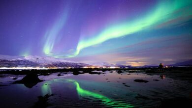 Northern Lights